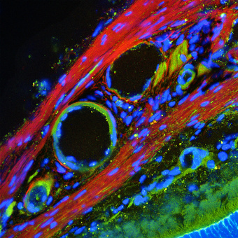 Illustration for article titled Great science art projects that can appeal to everyone